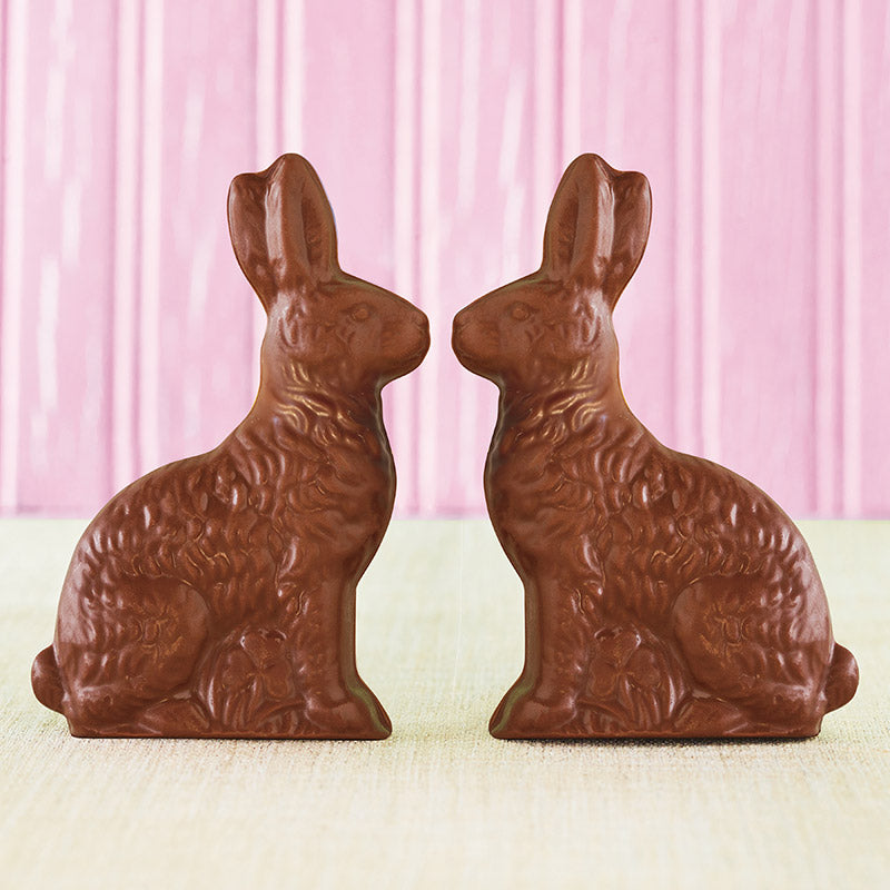 Solid Milk Chocolate Bunny